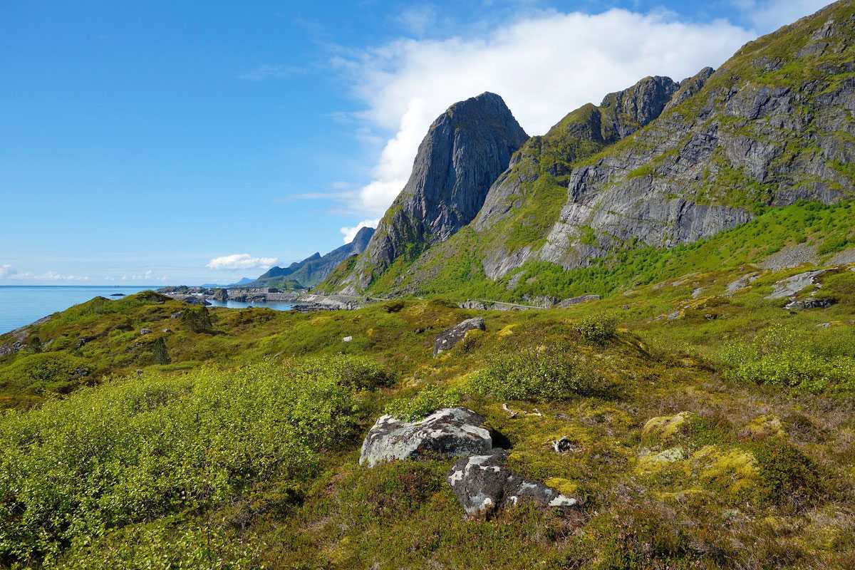 Landschaft im artkischen Skandinavien auf den Lofoten, (c) Ronile/Pixabay