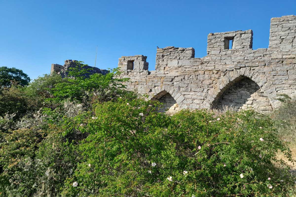 Wilder Bereich an der Stadtmauer von Visby, (c) Carolin Zimmermann/NABU-naturgucker.de
