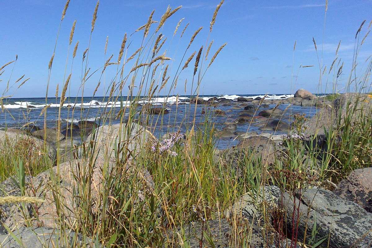 Strand auf Gotland, (c) ulla1karin/Pixabay