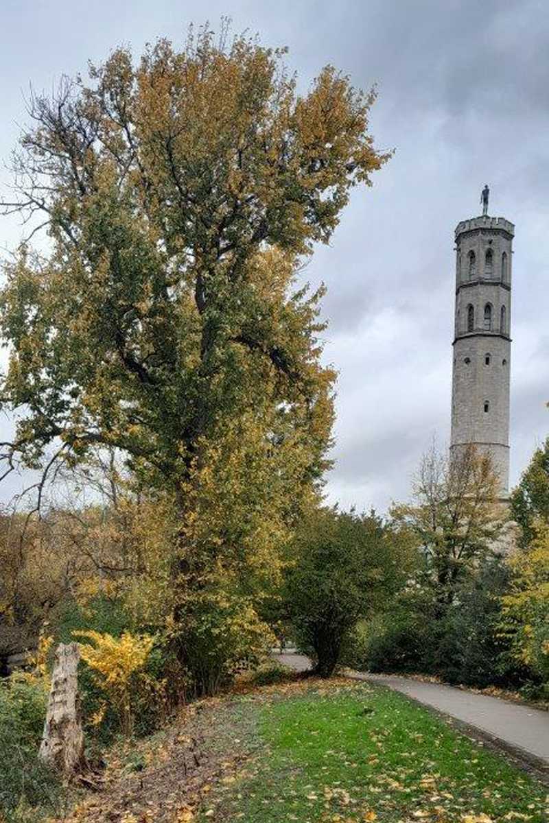 Der Bürgerpark in Braunschweig lud zu kleinen Spaziergängen ein, (c) Carolin Zimmermann