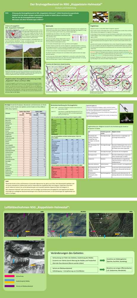 Poster „Der Brutvogelbestand im NSG ‚Koppelstein-Helmestal‘ – Analyse und Entwicklung“ von Jule Hümmerich