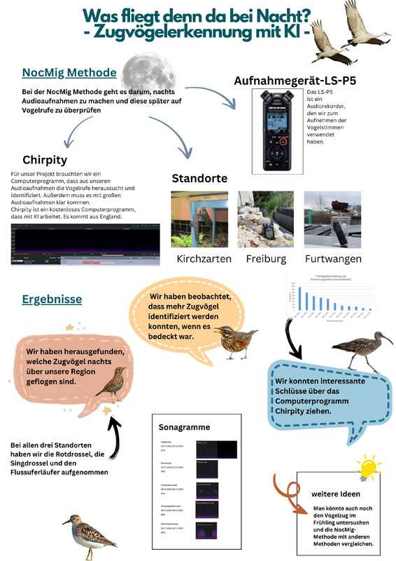 Poster „Was fliegt denn da bei Nacht? – Zugvogelerkennung mit KI“ von Caroline Hammes