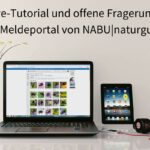 Live-Tutorial und offene Fragerunde zum Meldeportal von NABU|naturgucker, Foto Laptop & Co. (c) Monoar_CGI_Artist/Pixabay
