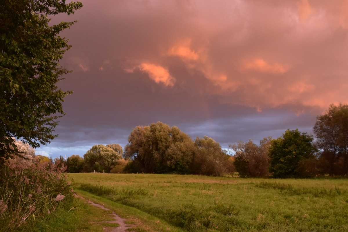 Abendhimmel in Sachsen-Anhalt, (c) Hans-Dieter Knopf/NABU-naturgucker.de