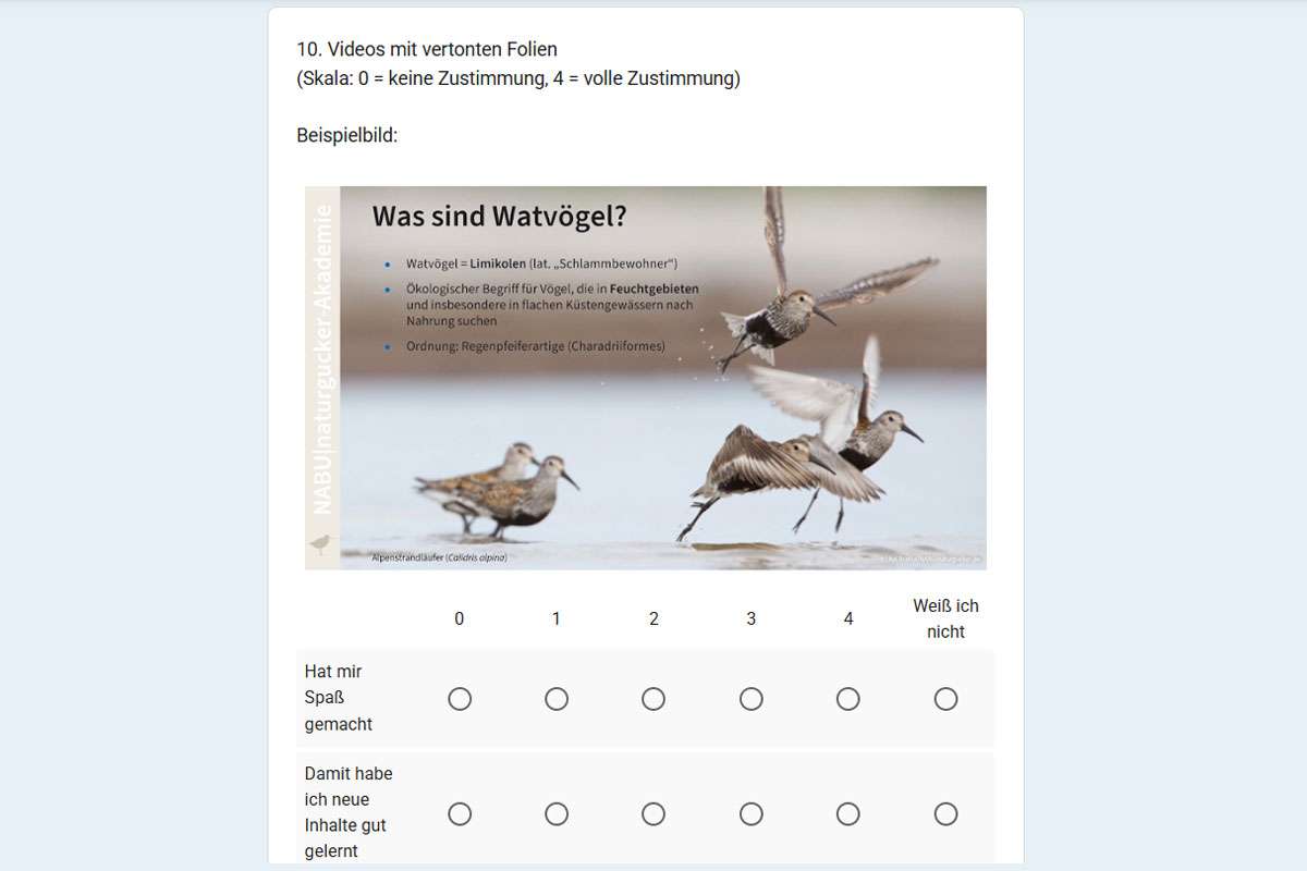 Auszug aus der Umfrage der NABU|naturgucker-Akademie von Anfang 2026