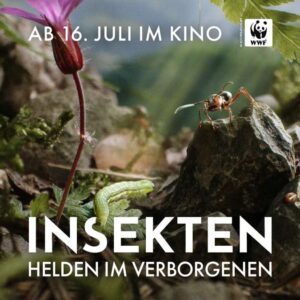Insekten – Helden im Verborgenen, ab 16. Juli 2026 im Kino