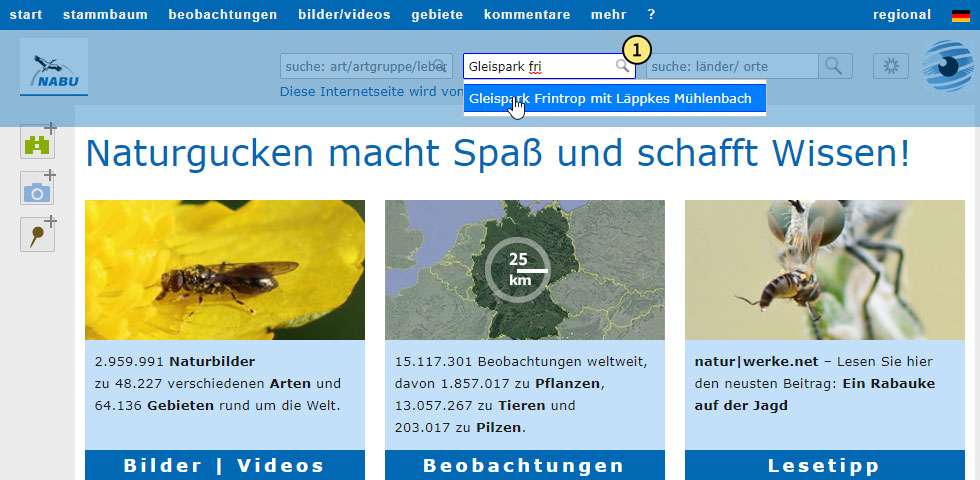 Gebiet mit Hilfe des Gebiets-Suchfeldes aufrufen