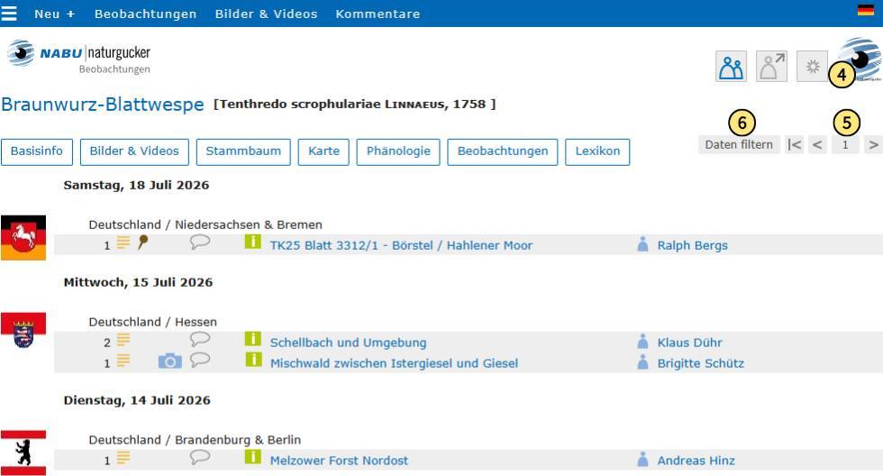 In der Beobachtungsliste eines Artporträts nur eigene Daten anzeigen lassen, blättern oder die Liste filtern
