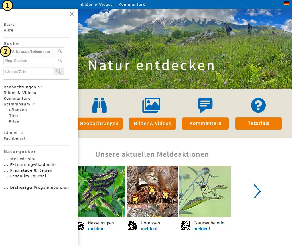 Suchfeld für Arten, andere Taxa, Naturphänomene und Lebensraumtypen
