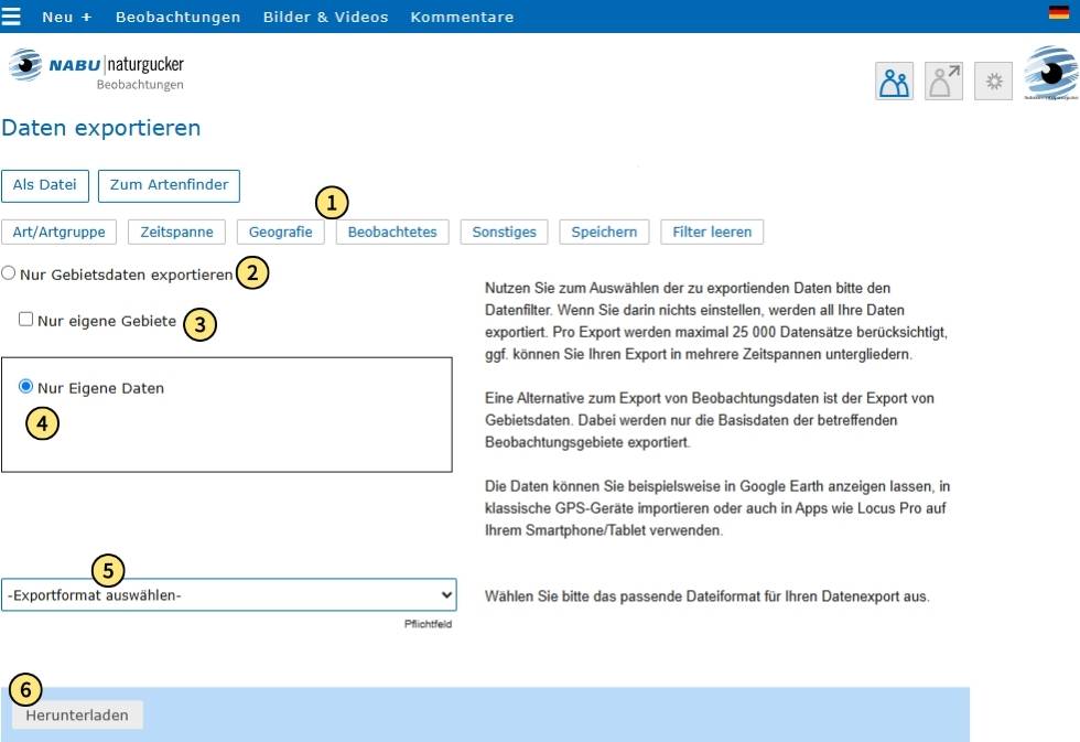 Filtern, weitere grundlegende Einstellungen für den Export vornehmen und Download starten
