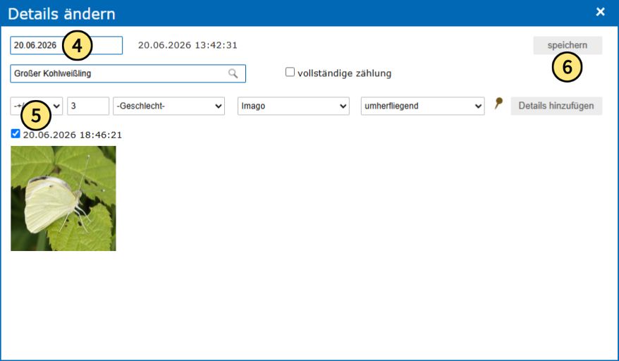 Das Beobachtungsdatum kann für Beobachtungen und Bilder/Videos in einem Arbeitsschritt geändert werden