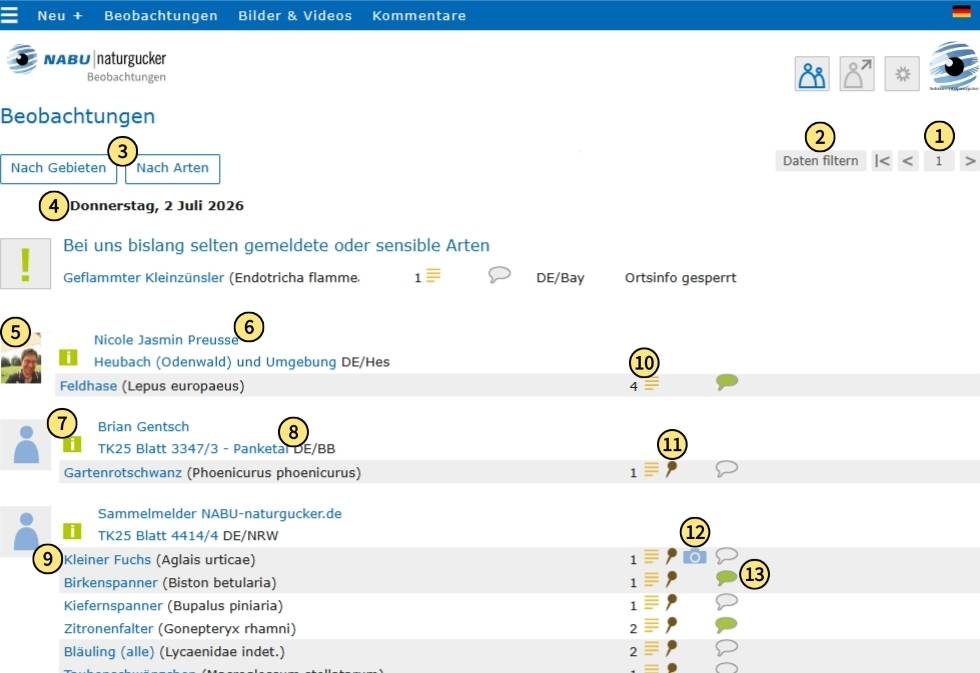 Allgemeine Beobachtungsliste, sortiert nach Gebieten