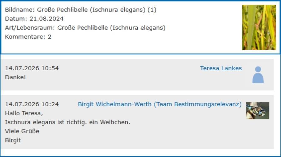 Kommentarfenster mit Bestimmungshinweisen auf dem Meldeportal