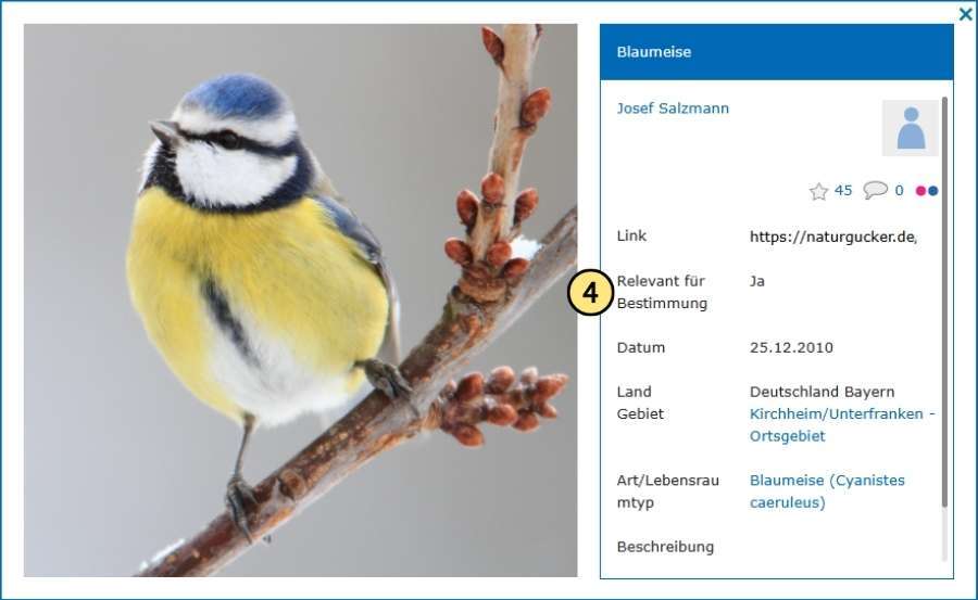 Bestimmungsrelevantes Bild in der Detailansicht mit entsprechendem Vermerk zu seinem Status