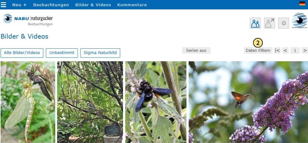 Aufrufen der Filter