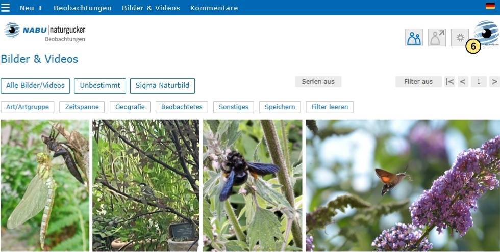 Profilbild anklicken, um den Filter ‚nur eigene Dateien‘ zu aktivieren