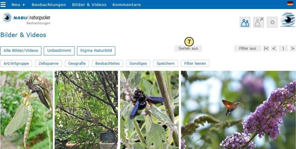 Bilderserien lassen sich ausschalten, um alle Bilder in der Galerie sehen zu können