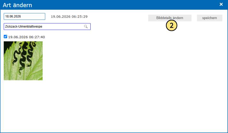 Per Klick auf ‚Bilddetails ändern‘ das Formular öffnen