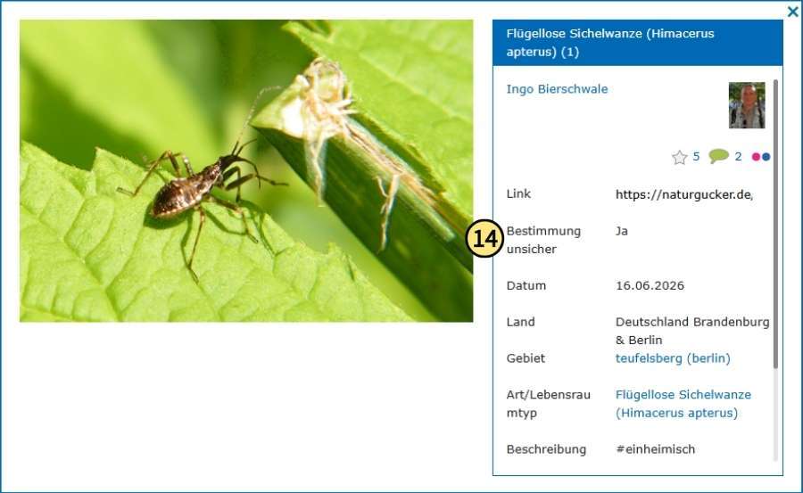 Kennzeichnung einer unsicheren Bestimmung