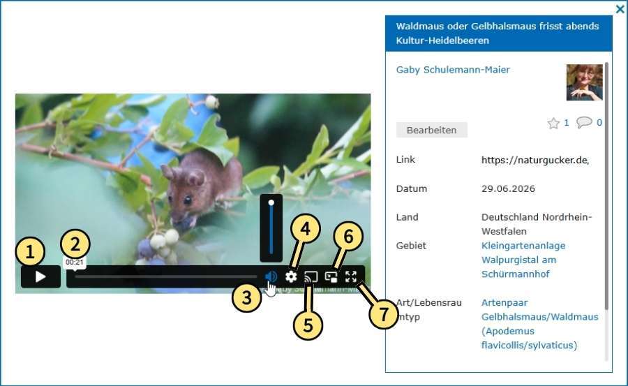 Übersicht der Bedienelemente der Videos