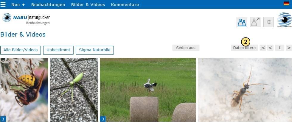 In der Bilder- und Videogalerie auf ‚Daten filtern‘ klicken