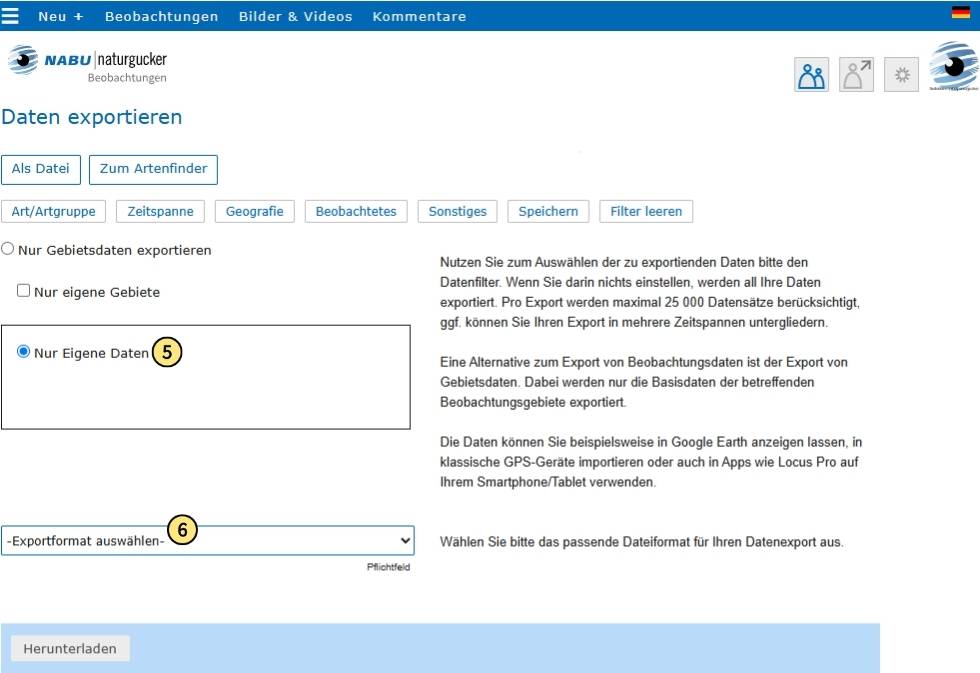 Die Einstellung ‚Nur eigene Daten‘ beibehalten und das Exportformat auswählen