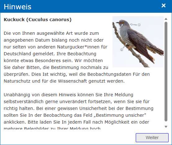 Fachhinweis zur Phänologie einer Beobachtung