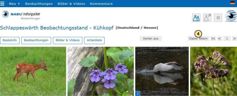 Den Filter aktivieren