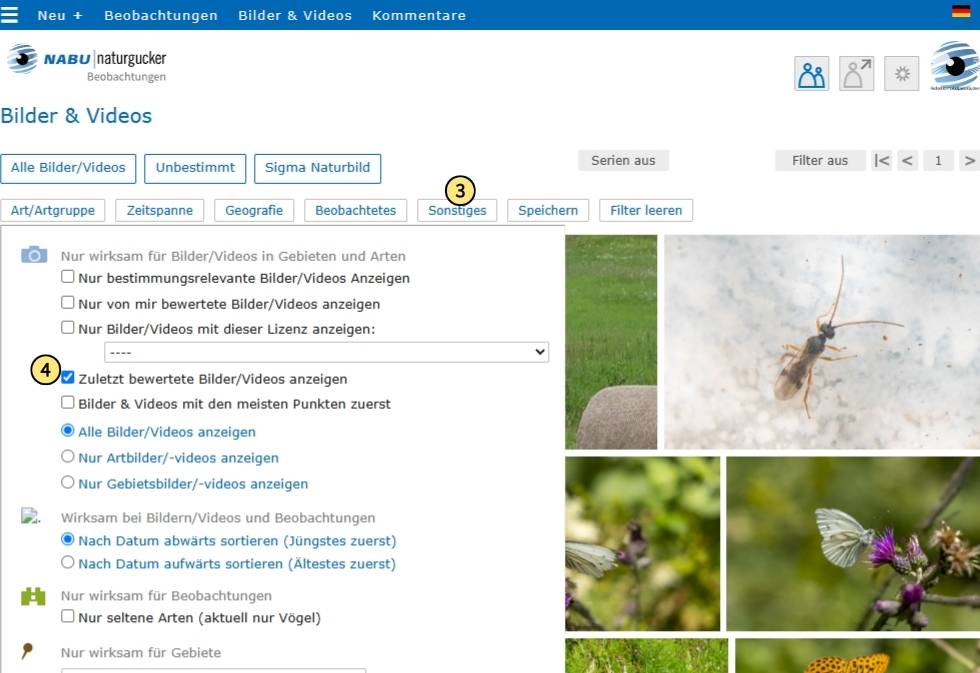 Unter ‚Sonstiges‘ die Option ‚Zuletzt bewertete Bilder/Videos anzeigen‘ auswählen