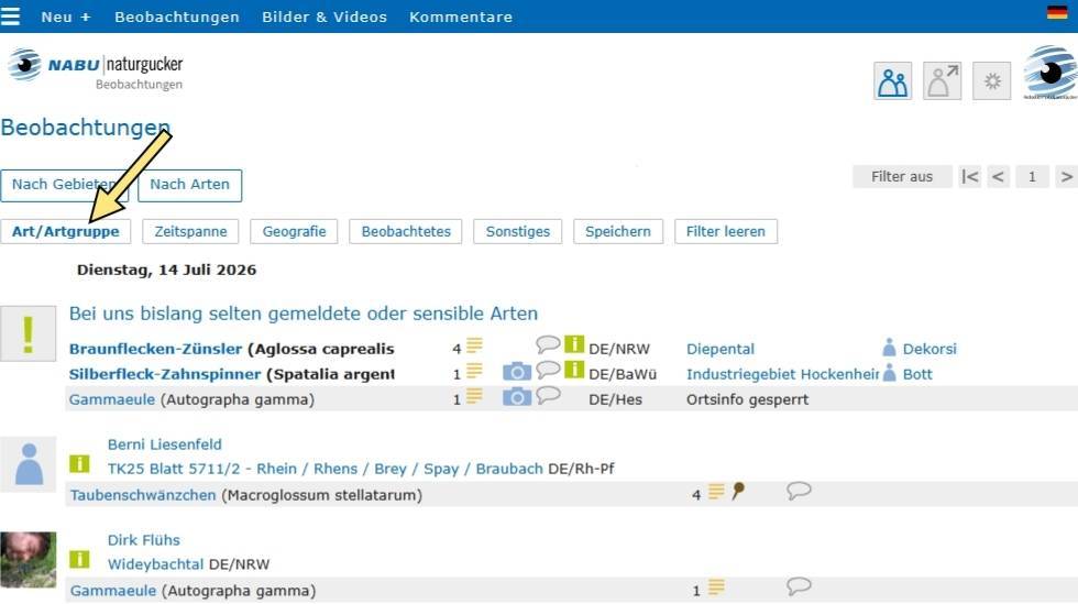 Aktive Filterkategorien werden in der Filterleiste fett dargestellt
