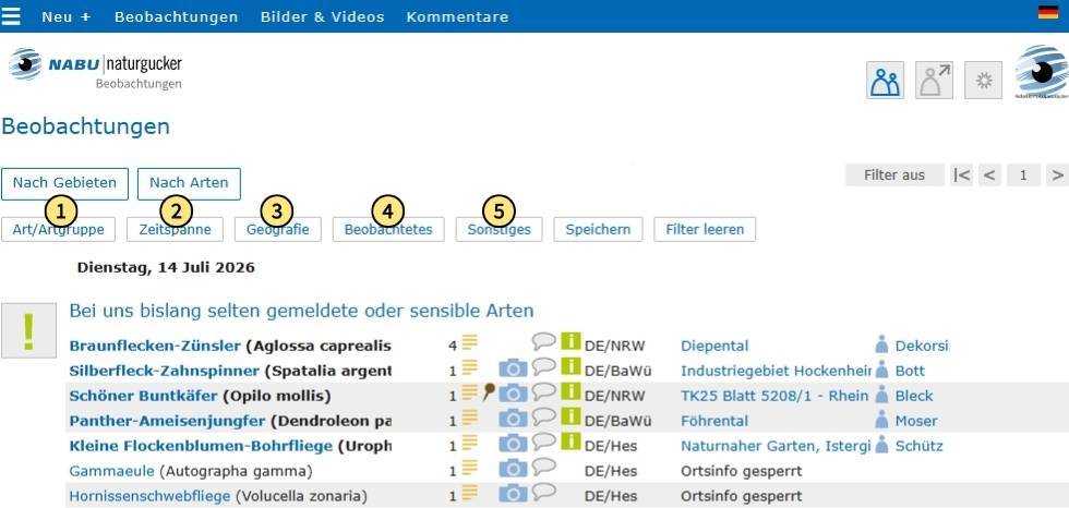 Die fünf Filterkategorien auf dem Meldeportal