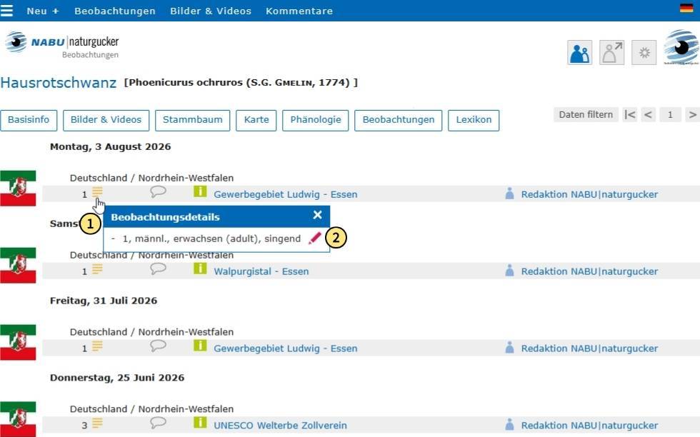 Anzahl oder Beobachtungsdetails anklicken und im kleinen Fenster auf das rote Stiftsymbol klicken