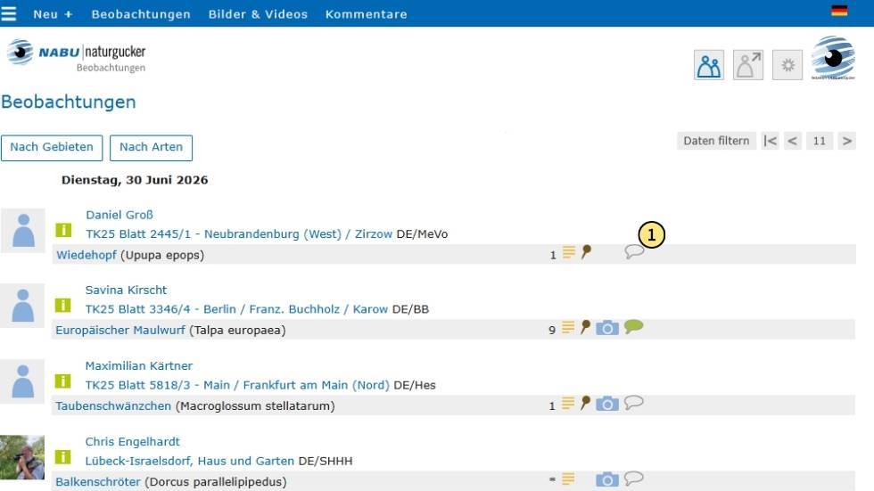 Sprechblasensymbole in einer Beobachtungsliste