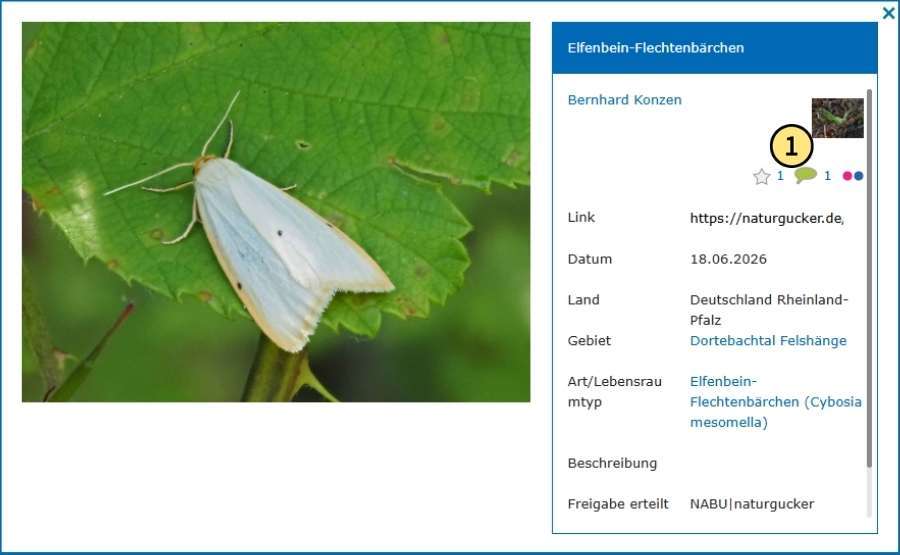 Sprechblasensymbol in der Detailansicht eines Bildes