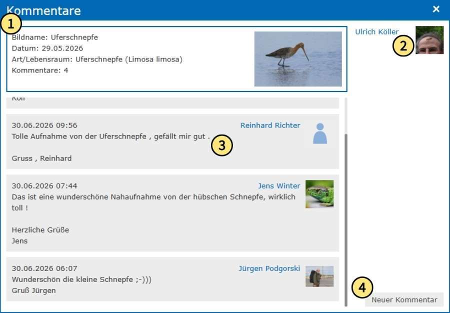 Kommentardetails auf dem Meldeportal von NABU|naturgucker