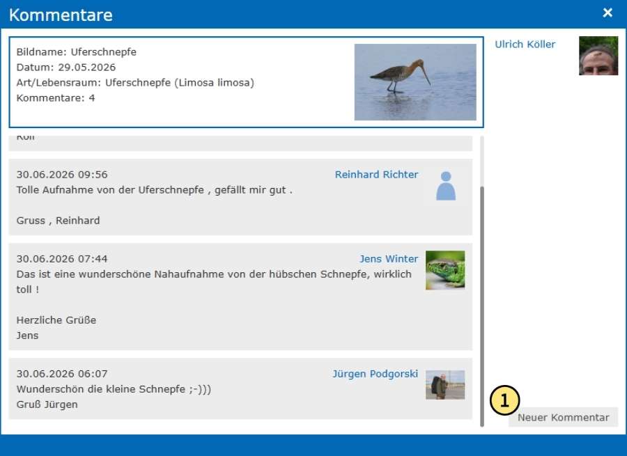 Kommentarhistorie zu einem Foto einer Uferschnepfe