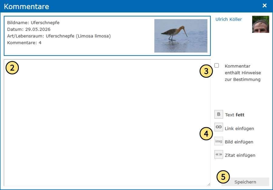 Eingabefenster für einen neuen Kommentar