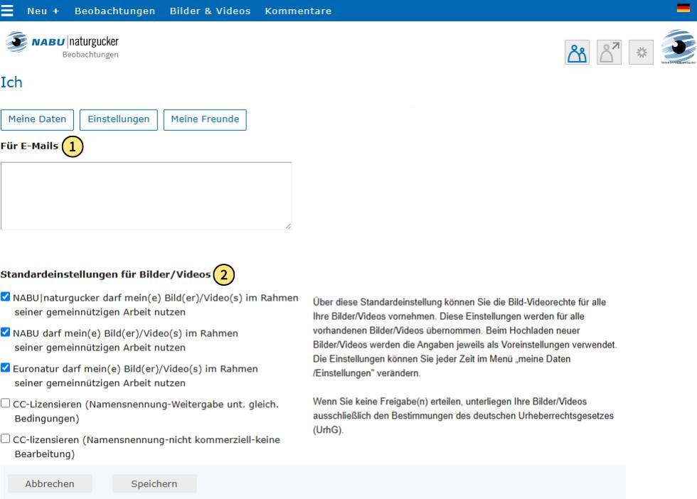 Eingabebereich für die E-Mail-Signatur und die Urheberrechtseinstellungen für Bilder/Videos