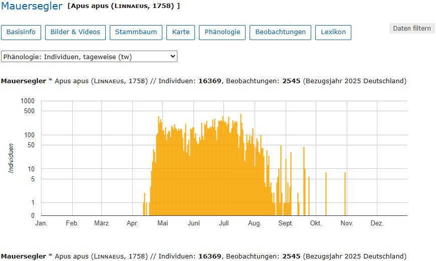 Aus den Beobachtungsdaten werden Diagramme erstellt, die Aufschluss über das zeitliche Auftreten einer Art geben