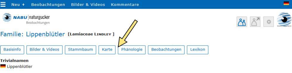 Die Buttons im Porträt Familie