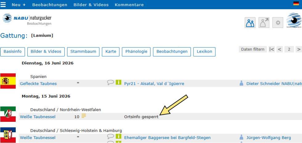 Betreffen die Beobachtungen sensible Arten, fehlen Gebiets- und Beobachter*innen-Name; stattdessen ist ‚Ortsinfo gesperrt‘ vermerkt
