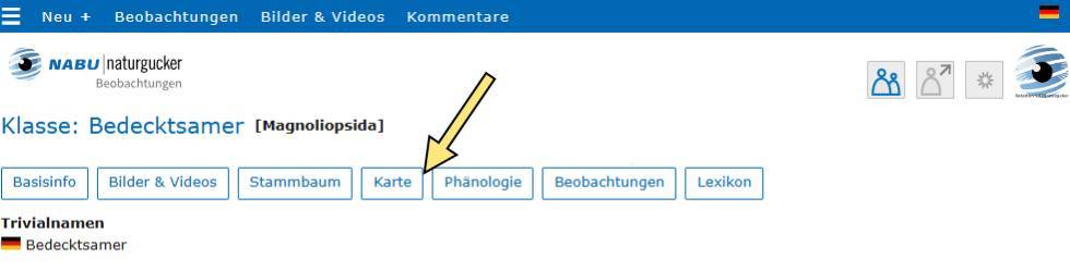 Themen-Buttons im Porträt der Klasse Bedecktsamer