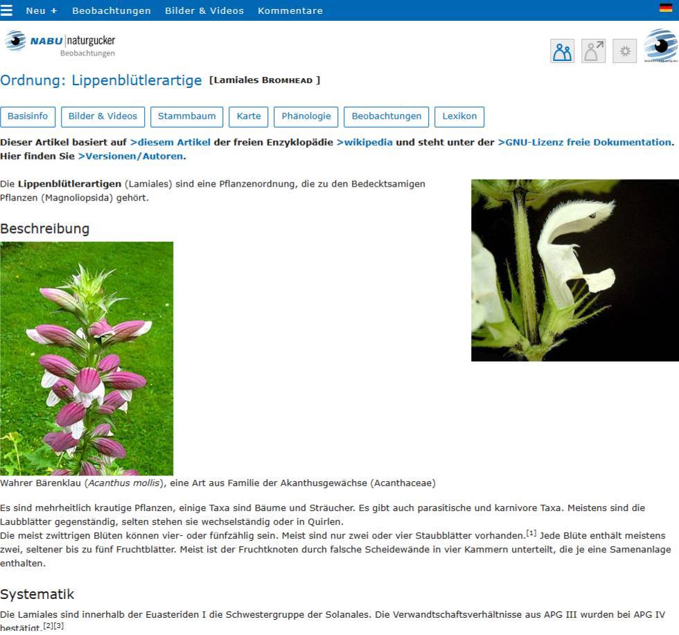 Lexikonbeitrag in einem Porträt einer Ordnung auf dem Meldeportal