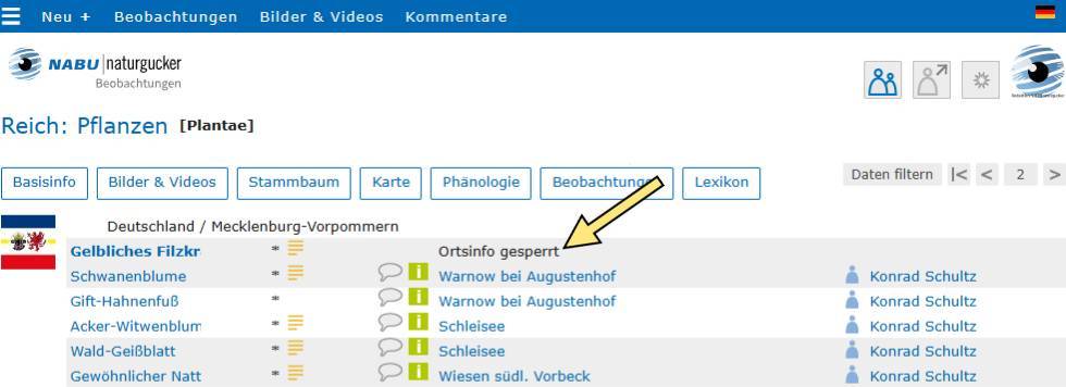 Betreffen die Beobachtungen sensible Arten, fehlen Gebiets- und Beobachter*innen-Name; stattdessen ist ‚Ortsinfo gesperrt‘ vermerkt