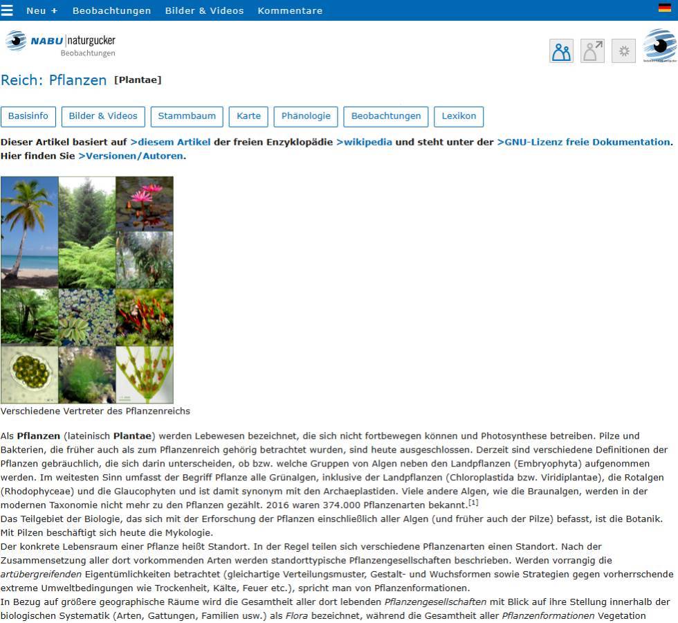 Lexikonbeitrag in einem Porträt eines Reichs auf dem Meldeportal