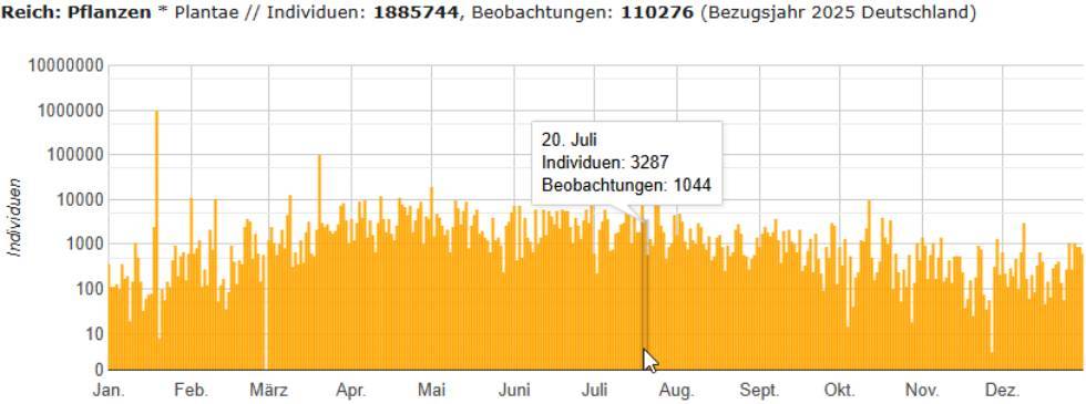 Per Mauszeiger aufgerufene Detailinformationen an einer Säule innerhalb eines Phänologiediagramms
