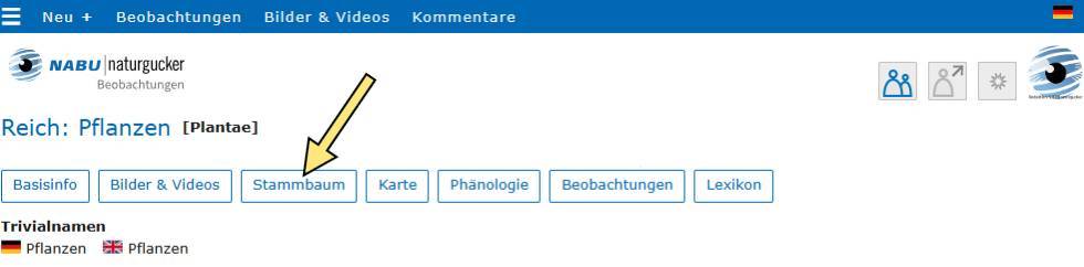 Themen-Buttons im Porträt des Reichs Pflanzen