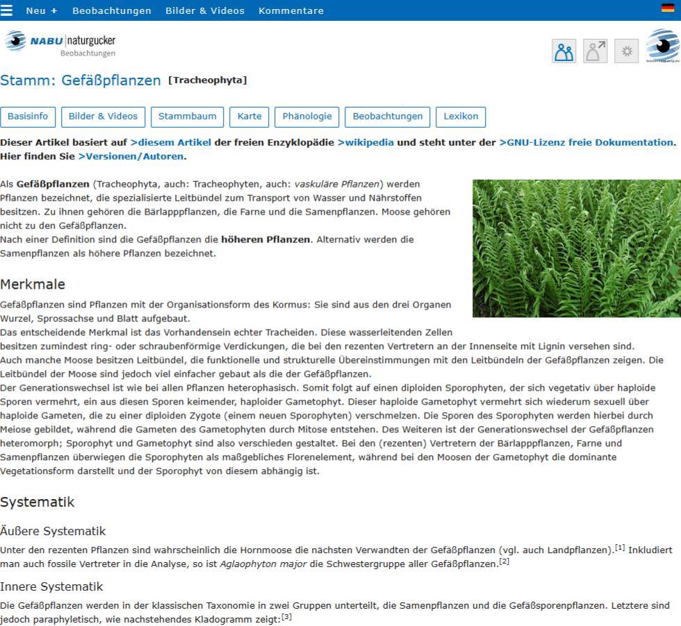 Lexikonbeitrag in einem Porträt eines Stammes auf dem Meldeportal