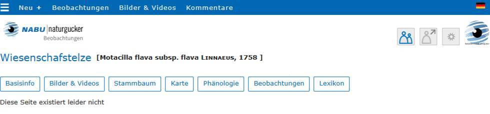Gibt es auf Wikipedia.de keine Beschreibung eines Subtaxons und auch keinen Artikel in der englischen Wikipedia, wird dies im Lexikonteil des Porträts mit ‚Diese Seite existiert leider nicht‘ gekennzeichnet