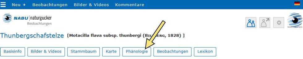 Die Buttons im Porträt eines Subtaxons